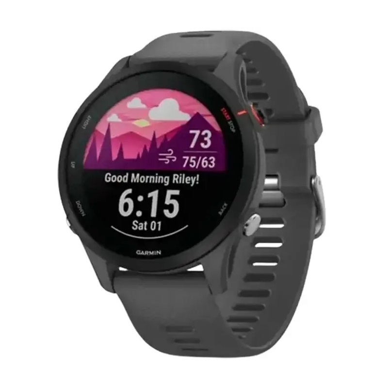 Умные часы Garmin Forerunner 255 GPS, Slate Gray