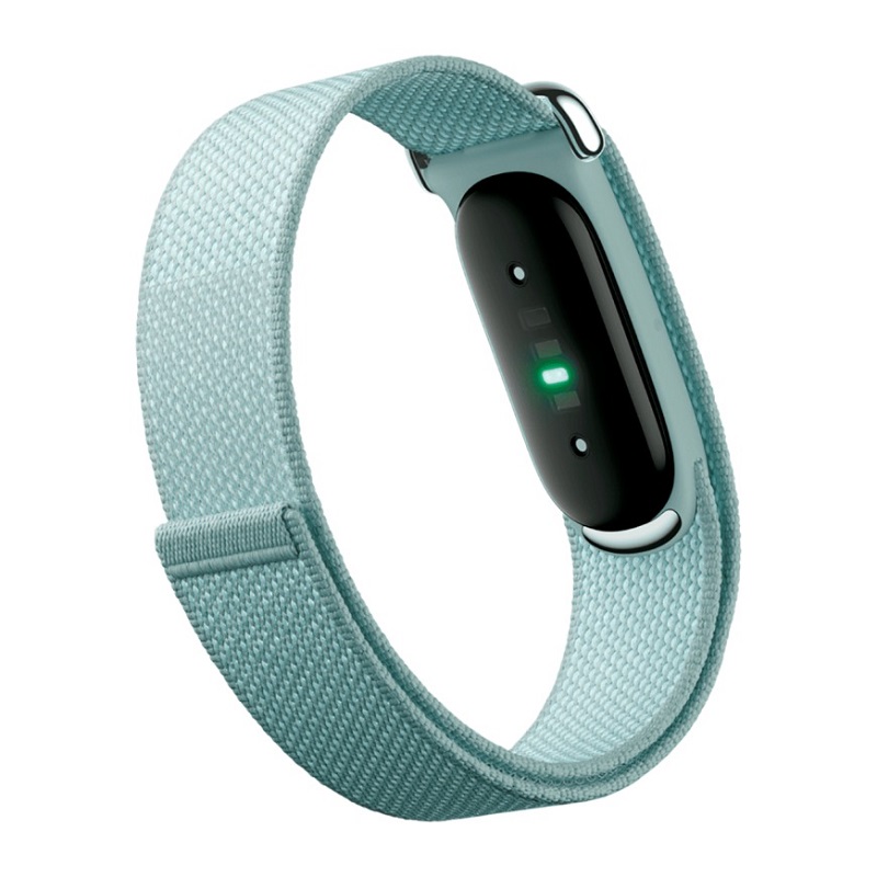 Фитнес-браслет Google Fitbit Air, Fog