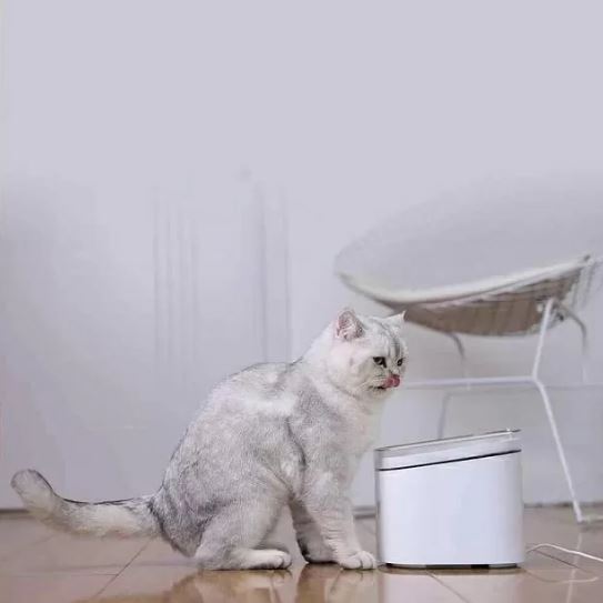 Умная автопоилка для животных Xiaomi Mijia Smart Pet Water Dispenser, белый
