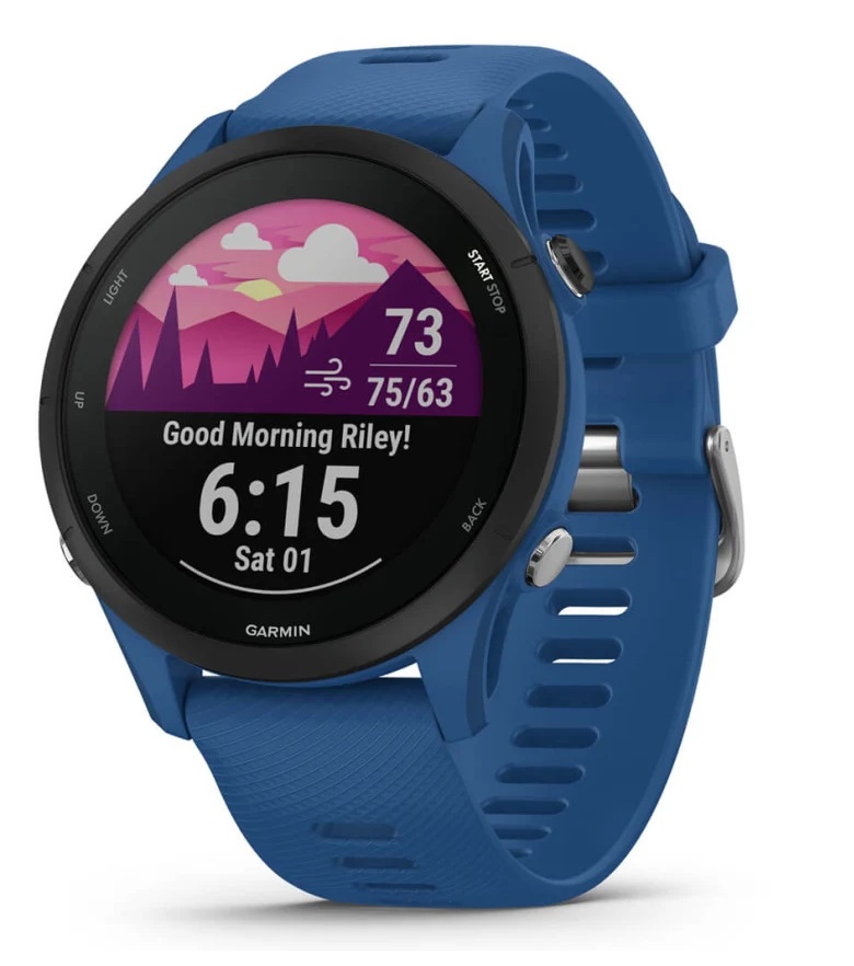 Умные часы Garmin Forerunner 255 GPS, Tidal Blue